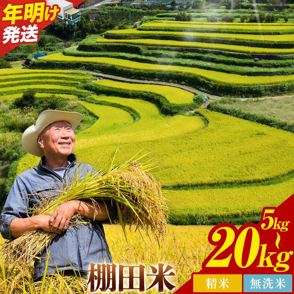 【ふるさと納税】《年明け発送》 清流と寒暖差が生む村自慢の棚田米 精米 無洗米 5kg～20kg《出荷時期をお選びください》徳島県 佐那河内村 お米 米 白米 送料無料
