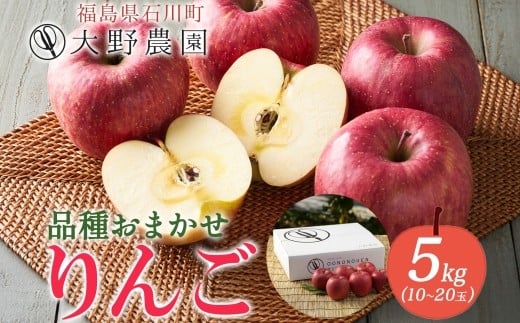 
            りんご5kg 品種お任せ 10～20玉 ｜ リンゴ 旬 ランダム 林檎 果物 フルーツ 甘い アップル 産直 大野農園 福島県 石川町【19011】
          