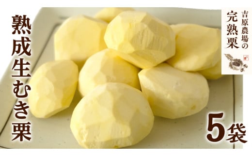 【 吉原農場 の 完熟栗 】 熟成 生むき栗 5袋 ( 120g × 5袋 ) 令和7年産 完熟 栗 くり クリ 栗ごはん 贈答 ギフト 果物 フルーツ 数量限定 旬  秋 冬 正月 おせち [CX003ci]