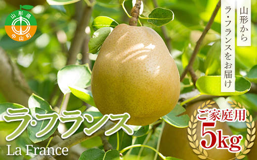《先行予約》2025年度発送 山形県産 ご家庭用ラ・フランス5kg F4A-0405