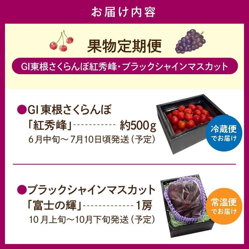2027年産 全2回 果物 定期便  (さくらんぼ・シャインマスカット)  定期便