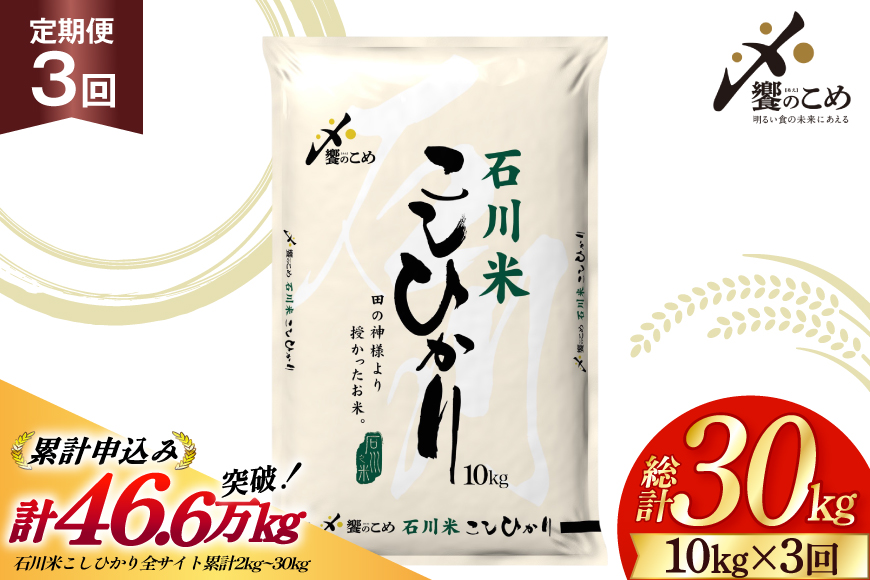 米 定期便 石川米こしひかり【穂立】10kg×3回 総計30kg 令和8年産 新米 [中橋商事 石川県 宝達志水町 38601405] コシヒカリ お米 コメ 3ヶ月 白米 精米 おこめ こめ 能登 10kg 10キロ