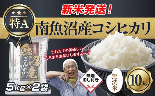 【令和8年産　新米予約】無地のし 「無洗米」 新潟県 南魚沼産 コシヒカリ お米 5kg×2袋 計10kg 精米済み（お米の美味しい炊き方ガイド付き） お米 こめ 白米 こしひかり 食品 人気 おすすめ 送料無料 魚沼 南魚沼 南魚沼市 新潟県産 新潟県 精米 産直 産地直送 お取り寄せ【2026年10月中旬より1ヶ月以内に順次発送予定】