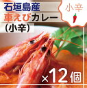 【ふるさと納税】石垣島産車えびカレー（小辛）【冷凍 12食】石垣島のカレー専門店が作るご当地カレー SK-1