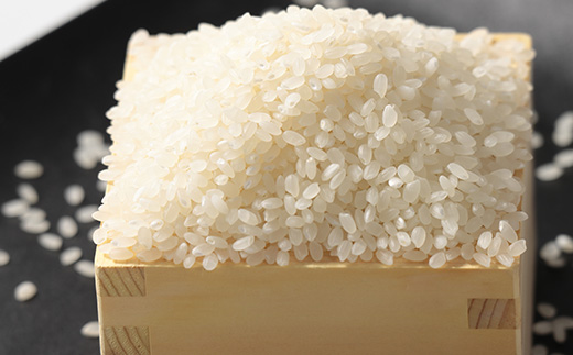 【予約】令和7年産 ミルキープリンセス 白米 5kg【配送不可地域：離島・沖縄県】