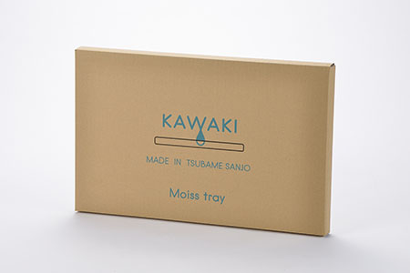 吸水プレート モイストレイ レギュラー 滴る水をしっかり吸収 吸水マット 水切り 皿洗い キッチン用品 bwsSELECTION [ビーワーススタイル]【010P130】