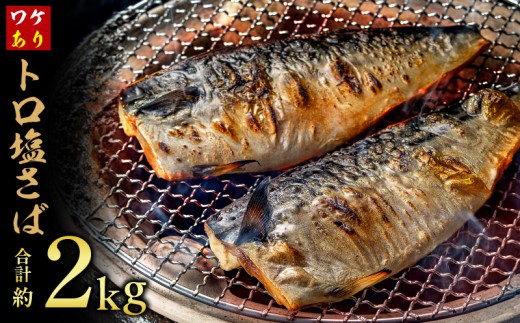 訳あり トロ 塩サバ フィレ 約2kg 鯖 さば 訳アリ わけあり 切り身 切身 塩さば 塩鯖 フィレ フィーレ 魚貝 魚介 人気 冷凍 冷凍食品 大容量 海鮮 家庭用 レシピ おかず おつまみ 惣菜 弁当 不揃い 規格外 傷 味噌煮 煮付け 竜田揚げ 南蛮漬け グルメ 贈答 贈物 ギフト 長期保存 小分け 炊き込み お取り寄せ ふるさと納税 ふるさと納税鯖 送料無料 千葉県 銚子市 飯田商店
