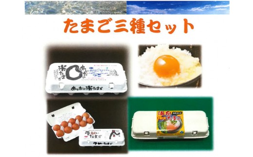 純国産鶏種、爽やかな高原の自然の風を取り入れ清らかな水で育った鶏卵