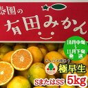 【ふるさと納税】ちょっと 傷あり 極早生 みかん 有田 S または SS サイズ 5kg 南泰園