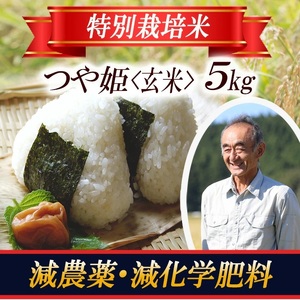 1406R07　特別栽培米 つや姫 玄米 5kg 山形県遊佐産 鳥海山の恵（令和7年産米）