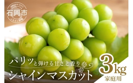 
                  【ご家庭用　数量限定】シャインマスカット家庭用3kg 5～9房 種なし ぶどう ブドウ 国産 果物  葡萄 種無し フルーツ 不揃い 家庭用 秋 旬 品種 茨城県産 産直 農家 直送 冷蔵 茨城県 石岡市 A02-021
                