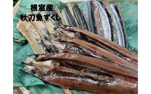A-54014 【北海道根室産】秋刀魚尽くし