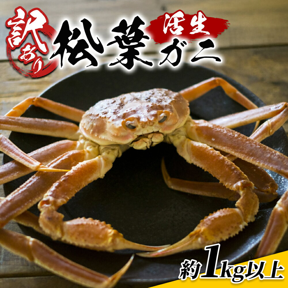 【ふるさと納税】訳あり松葉がに 1kgセット 鳥取県網代産｜鳥取県 岩美町 蟹 かに カニ 松葉がに 松葉ガニ ズワイガニ 訳あり 訳アリ 新鮮 魚介 冷蔵【22016】