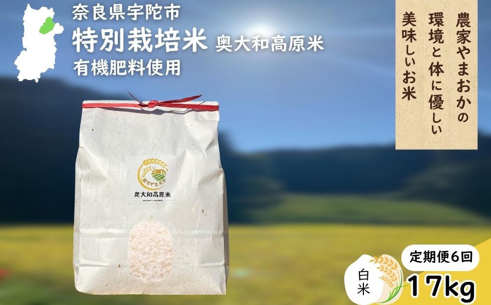 【定期便6回】特別栽培米 ＜令和7年産 白米 17kg＞ / ふるさと納税 栽培期間中農薬不使用 米 お米 こめ コメ 国産 新米 玄米 農家やまおか 奈良県 宇陀市