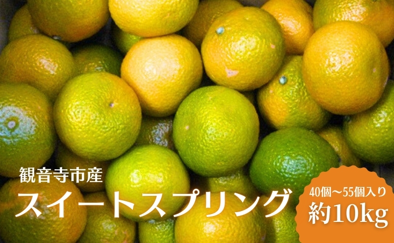 スイートスプリング 約10kg 果物類 みかん 柑橘類 フルーツ