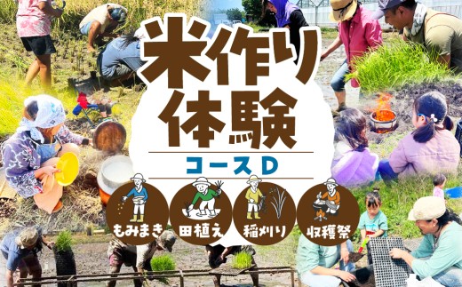 【体験コースD】米作り体験 選べる 4コース もち 餅 米作り 手作業 無農薬 体験 お米 米 親子 イベント 自然 自然体験