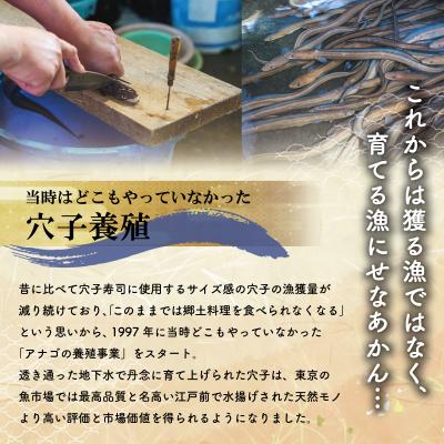 ふるさと納税 明和町 漁師町の郷土料理 穴子 寿司 3個 入り I57 |  | 03