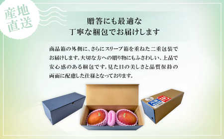 【2025年6月～7月頃の発送】贈答用のアップルマンゴー1kg【配送不可地域：離島】【1601771】