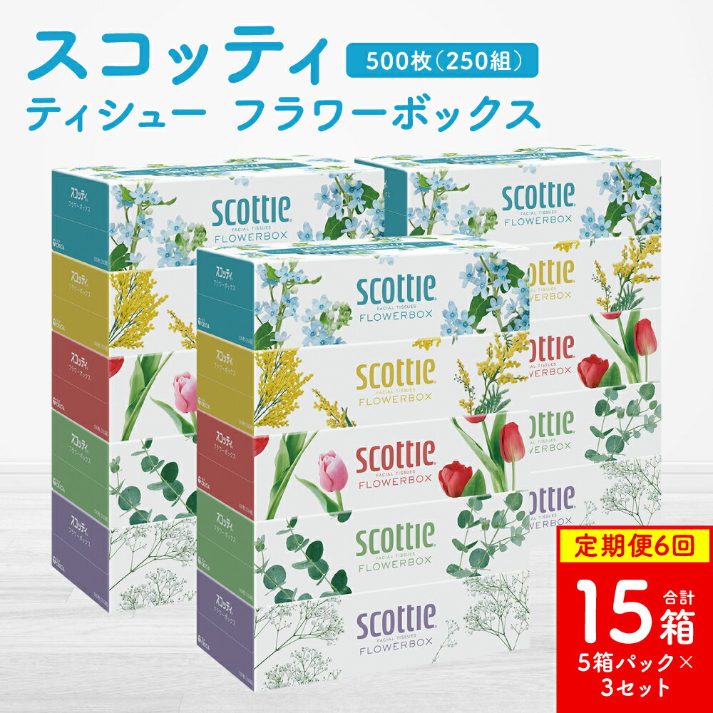 【ふるさと納税】 ＼レビューキャンペーン開催中／【定期便6回】【毎月お届け】【スコッティ】ティシュー フラワーボックス 250組 5箱パック×3セット 合計15箱 ティッシュ 日用品 生活必需品 消耗品 紙 まとめ買い 備蓄 防災備蓄 デザインボックス ストック 送料無料