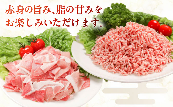 放牧豚 切落し・挽き肉 セット 計500g（250g×2） 《厚真町》【ファーマーズファクトリー株式会社】 [AXBA157]