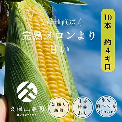 【完熟メロンのように甘い】朝採り!スイートコーン　約4kg【贈答用にもオススメ】【スイートコーン 甘い コーン 野菜 やさい とうもろこしトウモロコシ 福岡県 筑前町】【価格改定】