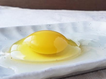 平飼い有精卵（あそぼらん) 60個 たまご タマゴ 玉子【asit0002】