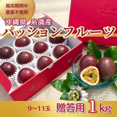 ふるさと納税 糸満市 【2026年発送・贈答用1kg(9玉〜11玉)】栽培期間中農薬不使用のパッションフルーツ