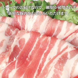 豚バラ 約800g 【 豚バラ 】