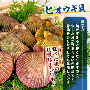 伊勢志摩バーベキューセット / 伊勢 志摩 三重県  国産 海鮮 新鮮 天然 サザエ 貝  焼き物 バーベキュー BBQ グリル セット 産地直送  キャンプ アウトドア 熨斗 ギフト 父の日 ヒオウ
