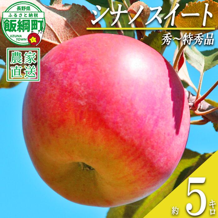 【ふるさと納税】 りんご シナノスイート 秀 〜 特秀 5kg 丸山りんご園 沖縄県への配送不可 令和8年度収穫分 長野県 飯綱町 〔 信州 果物 フルーツ リンゴ 林檎 長野 20000円 予約 農家直送 〕発送時期：2026年10月上旬〜2026年11月上旬 {***}