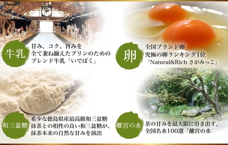 プリン研究所人気フレーバーランキング上位12種セット×2セット【 プリン 大阪府 松原市 】