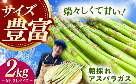 【3月中旬以降順次発送】朝採れアスパラガス2kg [WCT002] アスパラガス アスパラ  野菜 アスパラガス アスパラ