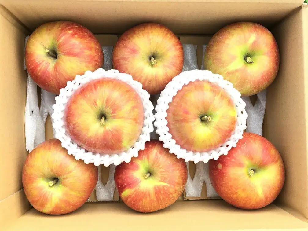 夏のりんご サンつがる 約2kg ｜ りんご