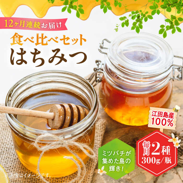 【ふるさと納税】【全12回定期便】まじりっけなし！江田島産100％!はちみつ2種食べ比べセット（300g×2本） ハチミツ ハニー 蜂蜜 国産 広島県 江田島市/はつはな果蜂園[XCD032]