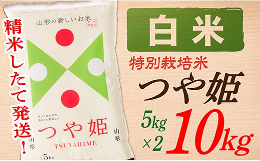 【令和8年産予約】【白米】山形県産つや姫10kg(5kg×2袋)