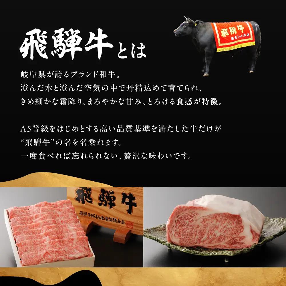 A5等級飛騨牛  霜降り焼肉 500g