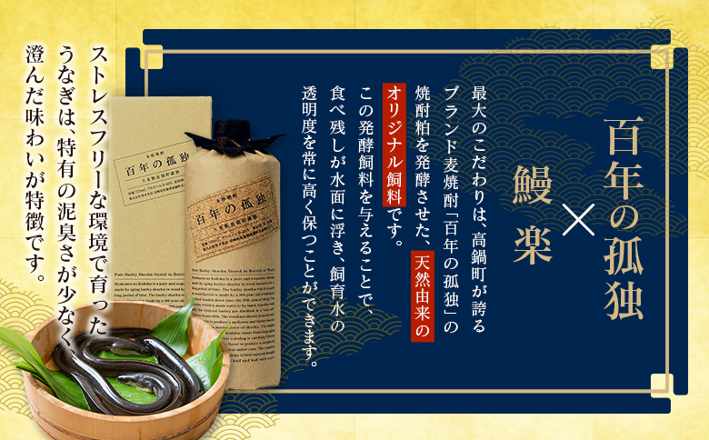 極上鰻！うまい！＜うなぎ 国産 うなぎ蒲焼 5～8尾 計1kg以上＞ふるさと納税 うなぎ 高級 長蒲焼 鰻 夏バテ防止 ウナギ 鰻 かば焼き 蒲焼き 丑の日 タレ 宮崎県産 国産 九州産 宮崎県 高鍋