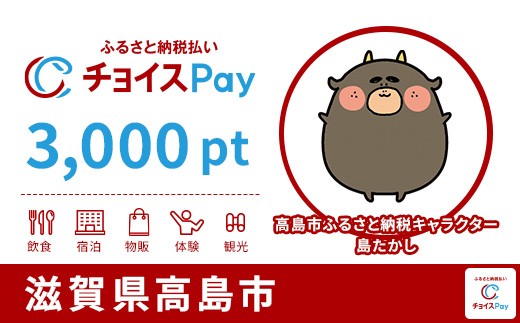 
                  高島市チョイスPay 3,000pt【会員限定のお礼の品】
                