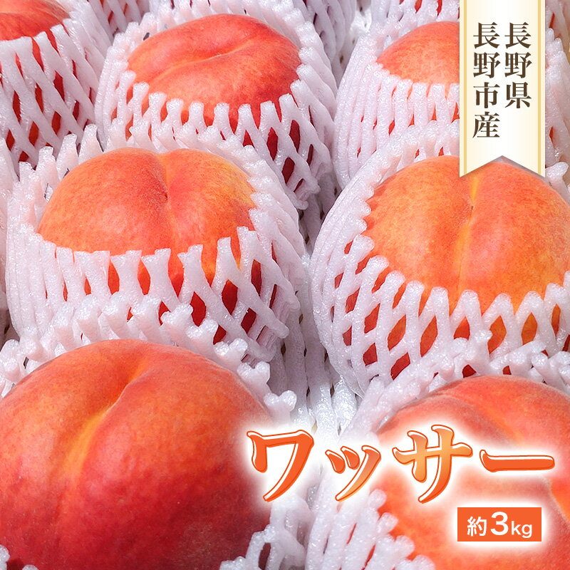 【ふるさと納税】2026年発送　長野市産　ワッサー　約3kg 　お届け：2026年8月上旬～中旬