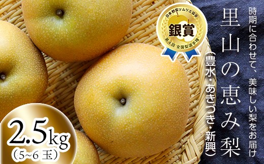 
                  FKP9-717 【先行予約】里山の恵み梨（約2.5kg）
                