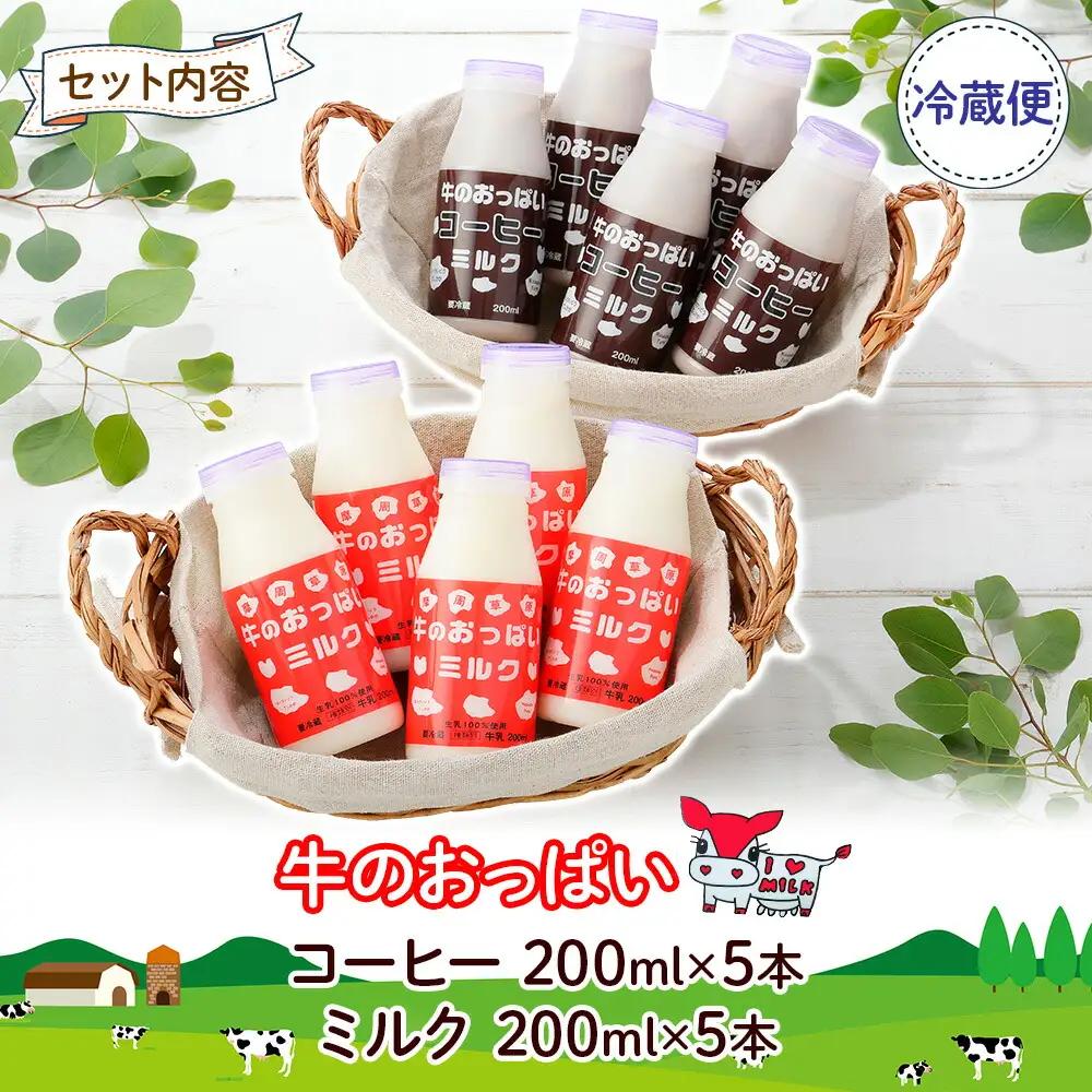 牛のおっぱいミルク 5本 コーヒー 5本 計10本 飲み比べ セット 牛乳 生乳 ミルク 牛 酪農 飲料 しぼりたて コーヒー 珈琲 お取り寄せ ギフト gift 渡辺体験牧場 まとめ買い 北海道 弟