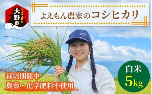 【先行予約】【令和7年産 新米】よえもん農家の白米 ×5kg【栽培期間中農薬・化学肥料不使用】