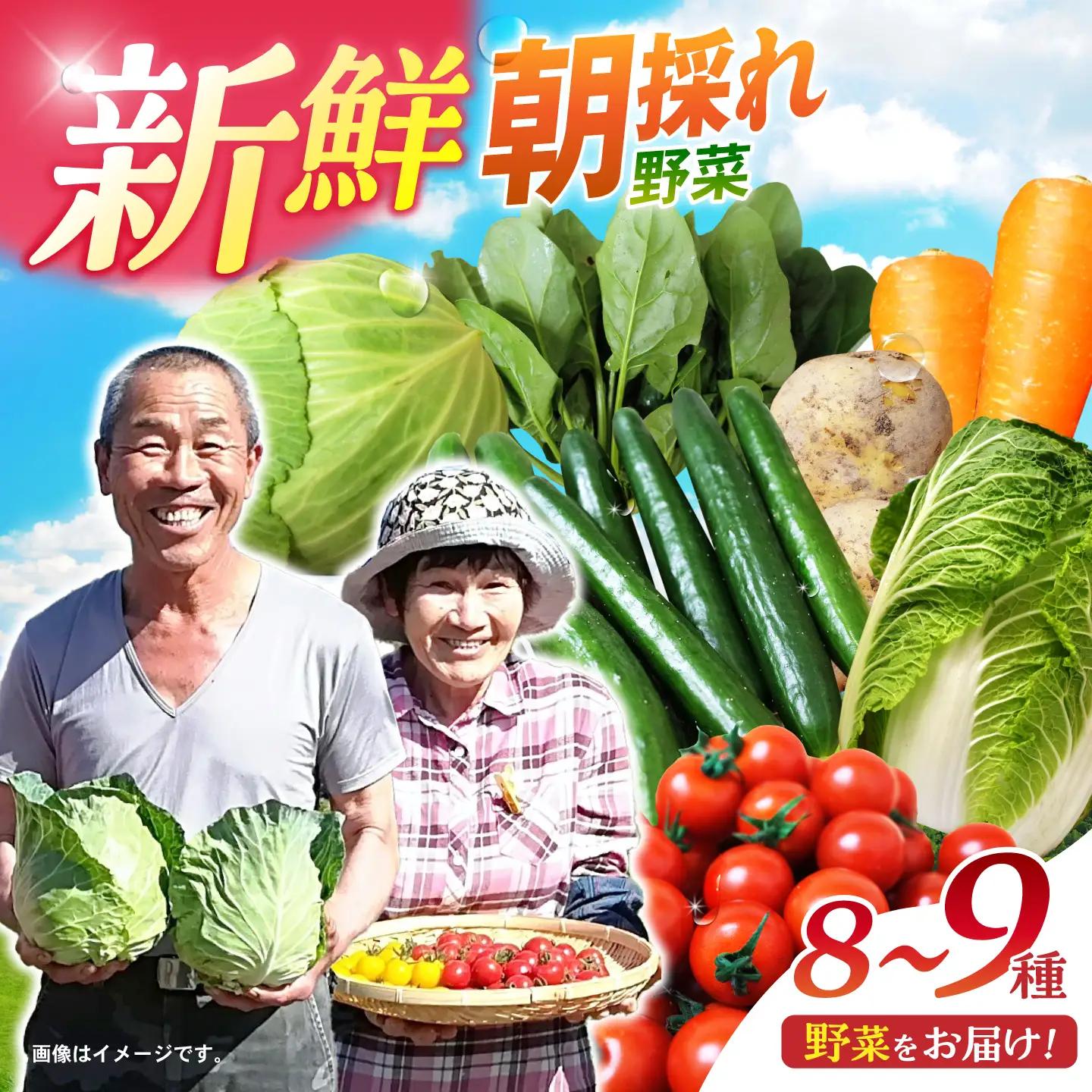 諫早産野菜の詰め合わせ 8・9品目程度 / 季節 旬 野菜 やさい セット 春野菜 夏野菜 秋野菜 詰め合わせ / 諫早市 / 肥前グローカル株式会社[AHDI004]