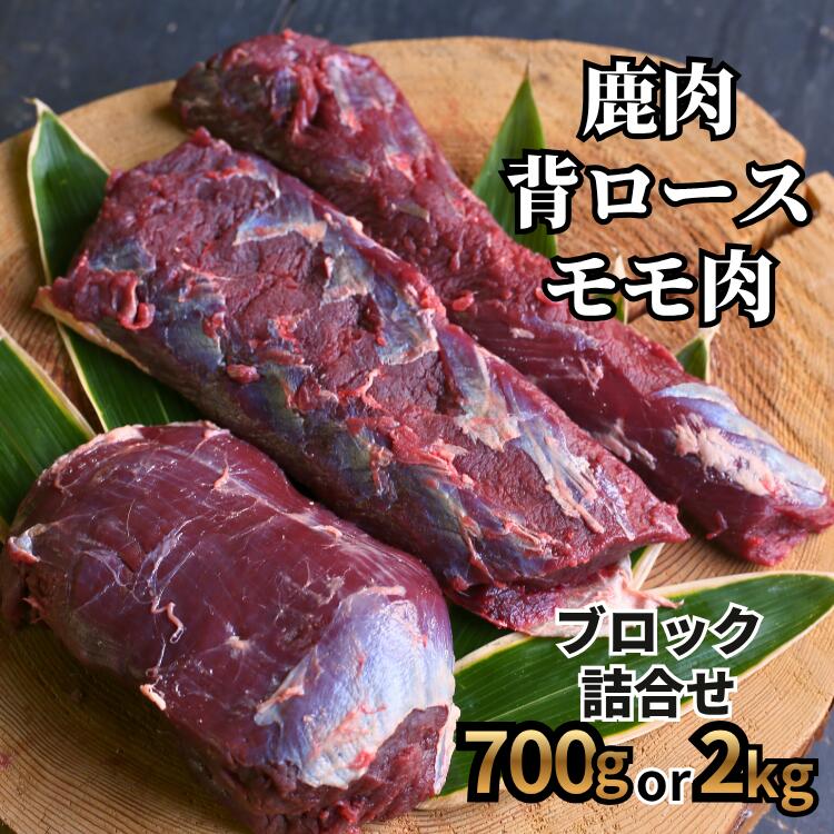 【ふるさと納税】森のジビエ 鹿肉 ブロック おまかせ詰合せ　700g or 2kg　A-JJ-J15A