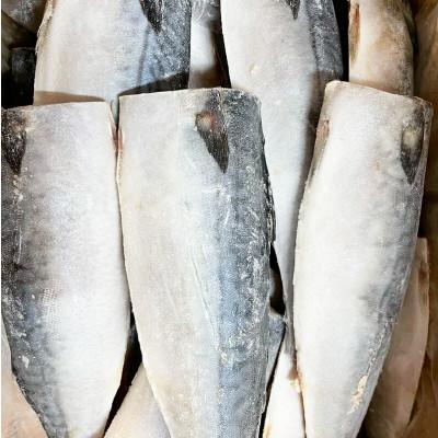 ふるさと納税 北山村 【ご家庭用】塩さばフィレ 2kg【uot762A】 |  | 03