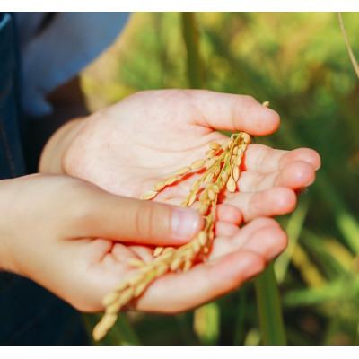 ふるさと納税 筑前町 令和6年産【白米】久保山百年米-真空パック(2合300g×5袋)-計1.5kgギフトにもオススメ! |  | 03