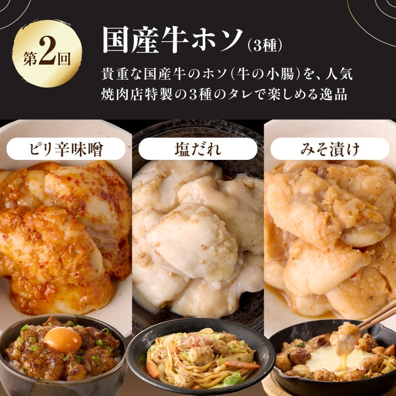 木津川市ラーメン紀行 全3回定期便​ ラーメン 麺 無鉄砲総本店 人気店 定期便 3回 木津川市 