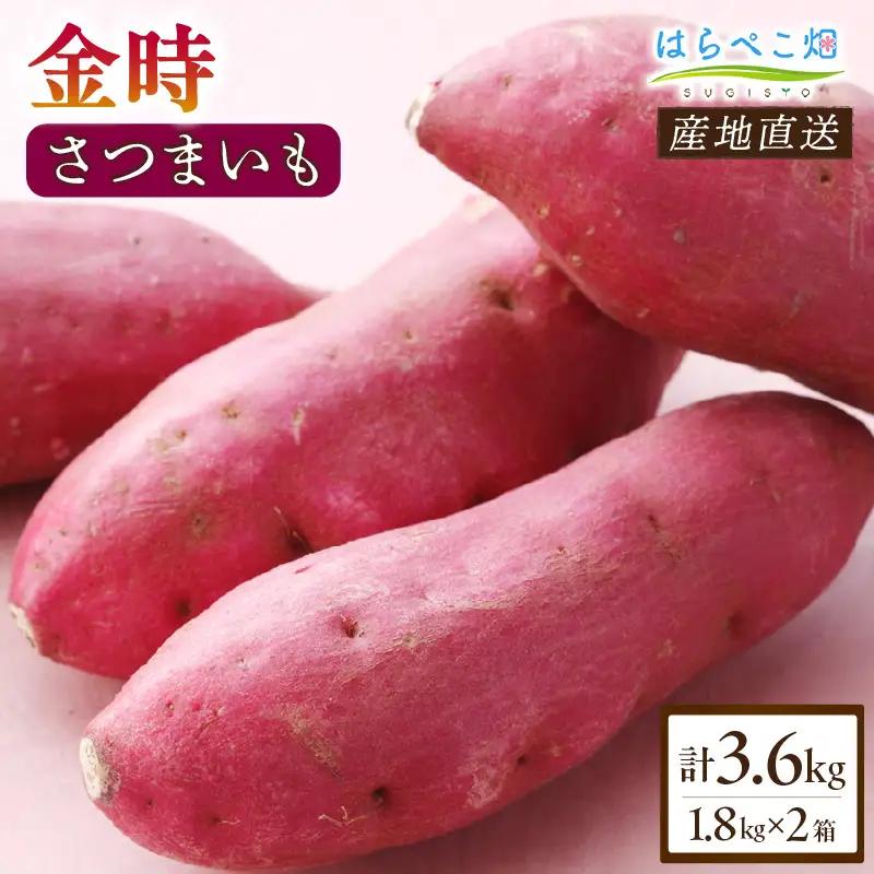 【ホックホク食感の優しい甘み】さつまいも金時 1.8kg 2箱・H115