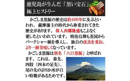 【25-27】鹿児島黒豚厚切りロースとんかつ 150g×2枚　スエヒロ家