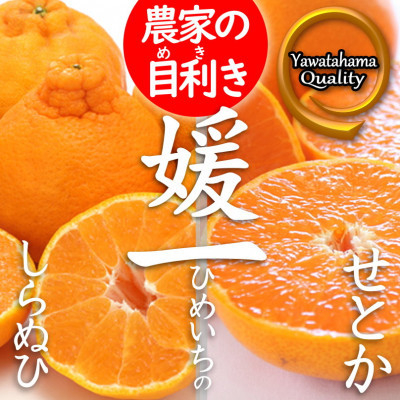 
            《愛媛・八幡浜柑橘詰合せ》よくばり2箱セット(せとか・しらぬひの2品種)＜C28-38＞【1504074】
          